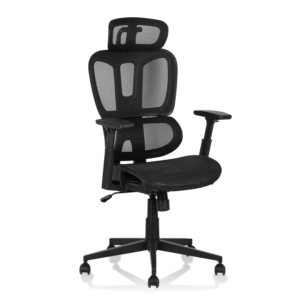 XL-5093 Cadeira ergonômica de malha com divisão lombar